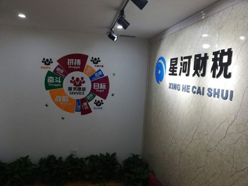 图 天津滨海新区贸易公司税务登记代理 天津会计审计